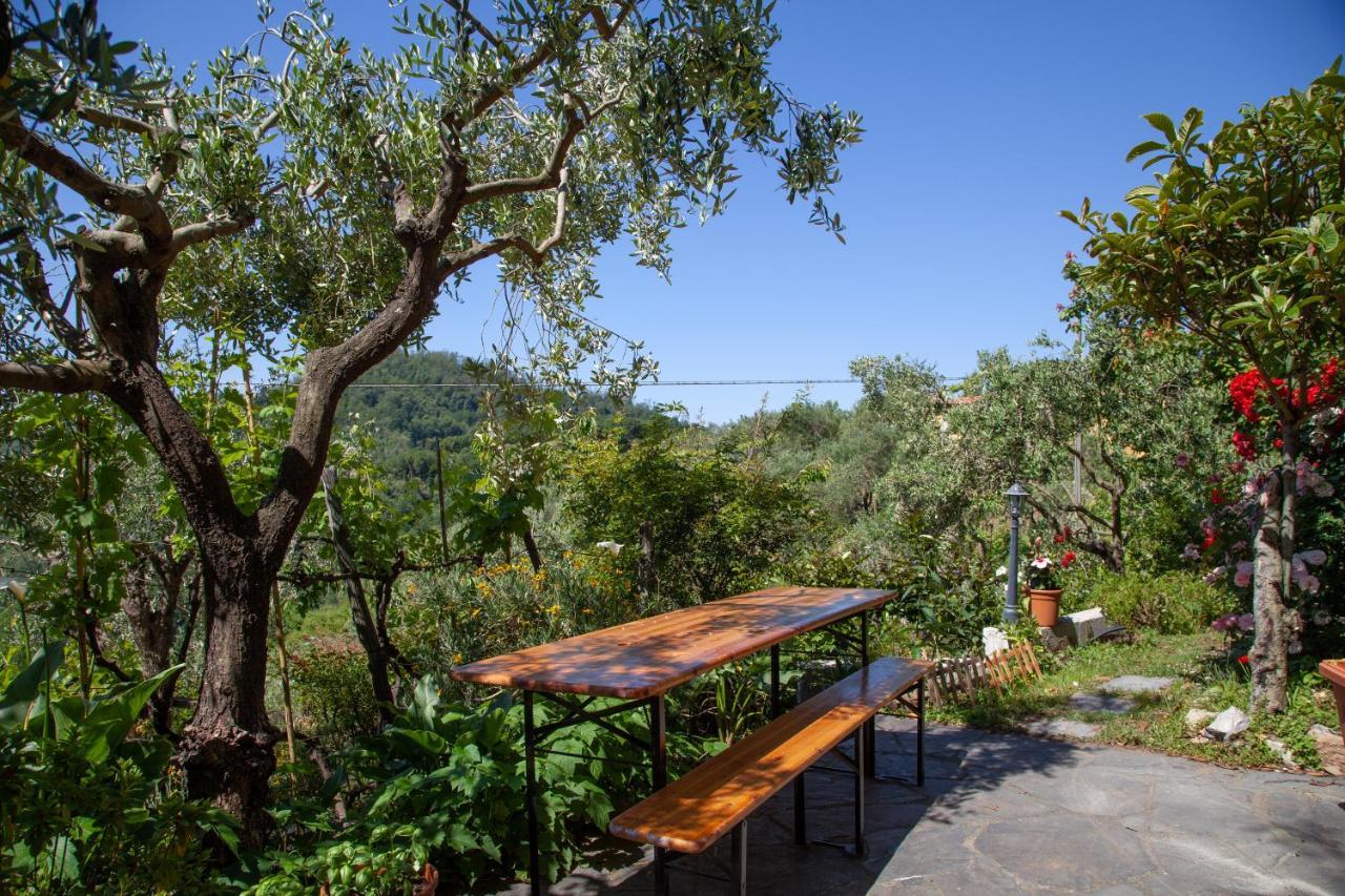 Pietrantica - Affittacamere Con Giardino Nuova Apertura A Trebiano -Citr Exterior foto